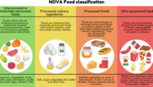 Nova food classifications: unprocessed, processed culinary ingredients, processed foods, ultra-processed foods