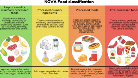 Nova food classifications: unprocessed, processed culinary ingredients, processed foods, ultra-processed foods